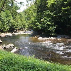 Meet your Posher, Cathy